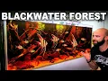 Download Lagu Zwartwaterbos: EPIC Natural Habitat Style Aquarium (Aquascape Tutorial)