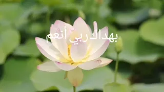 أخليت قلبي من سواك   للمنشد عماد رامي دندنها