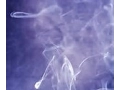 How to open a head shop
