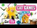 Download Lagu CAT Games | Ultieme Cat TV-compilatie Vol 170 | 8 UUR 🐝🐞🦋🦎🦜🐜🐭🧵