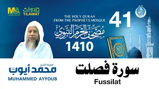 سورة فصلت   مصحف الحرم النبوي      الشيخ محمد أيوب دندنها