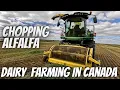 Download Lagu Chopping our Second Cut of Hay