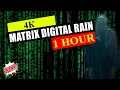 4k prank Rain Code 60 min 1hour Matrix Rain Code