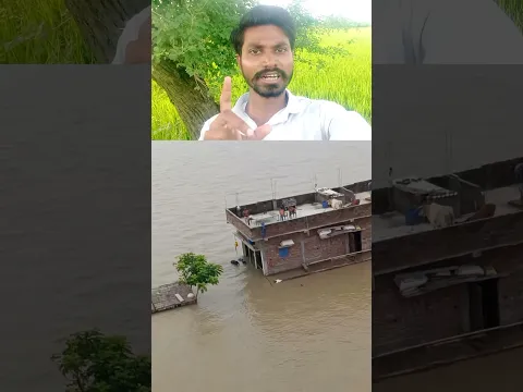बिहार के राघोपुर इलाके में बाढ़ कहर 😱 #biharifood #biharraghopur #BiharNews #FloodRescue