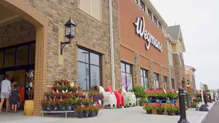 Wegmans Carlyle