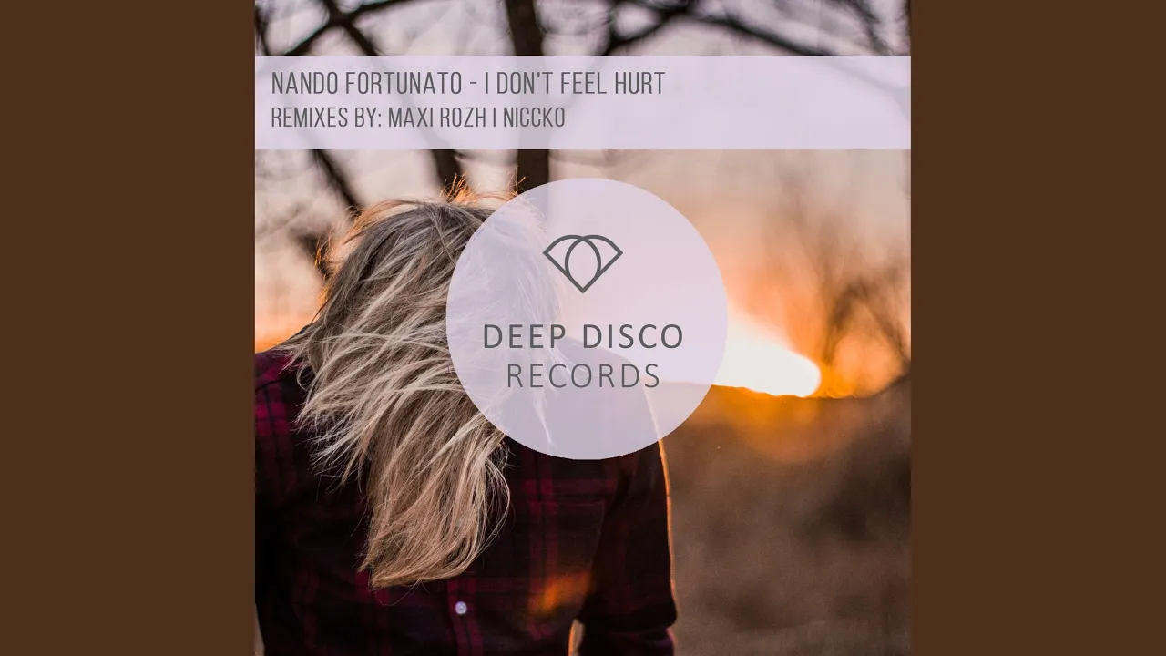 I Don't Feel Hurt (feat. NICCKO) (NICCKO Remix)