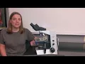 How to Use a Microscope