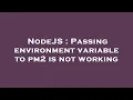 NodeJS Passing environment variable to pm2 is not working