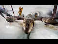 Download Lagu The Airplane Found 264 Feet Underground with the Key Still Inside