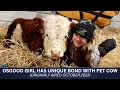 Osgood girl has bond with pet cow 2022