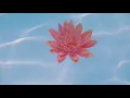 Nina Nesbitt - The Best You Had (Official Audio)