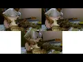 Download Lagu /RIF - LOE TOE YE GUITAR COVER - BIAS FX2 - ORPHEE STRINGS