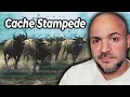 Introduction To Cache Stampede Protection In C