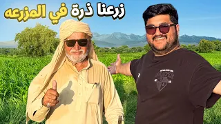 وأخيراً زرعنا في مزرعة الوالد 😍 زرعنا ذرة 🌽 Corn Farm in Pakistan 🇵🇰