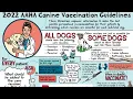 2022 AAHA Canine Vaccination Guidelines