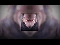 Download Lagu Montagem Mortals