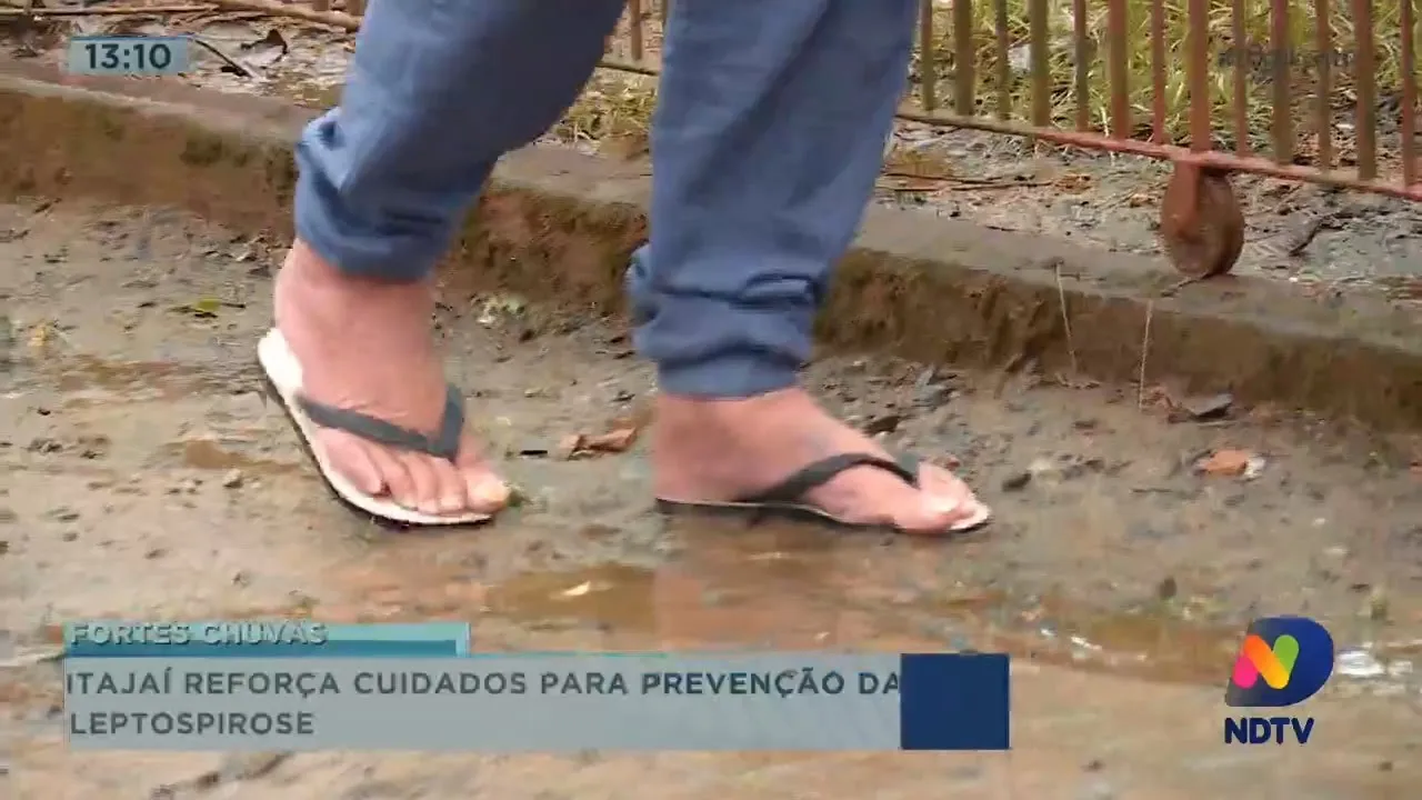 Itajaí reforça cuidados para prevenção da leptospirose