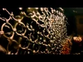 Download Lagu TRAILER / Leviathan / DIR: Lucien Castaign-Taylor, Verena Paravel