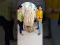 Jungle Theme Decorations