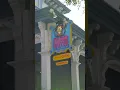 Top 5 Restaurants in Cape May NJ