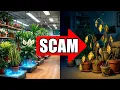 STOP BUYING Until You Watch This 15 Hidden Scams in Houseplant Stores in 2026