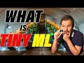 The Next Big Thing Is Tiny ML Machine Learning For Tinyml Devices
