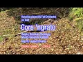 Download Lagu Core`n Grato - Karaoke, Full Orchestra for Pro(without lead instrument)