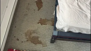 Carpet cleaning - part 2 of teenagers bedroom