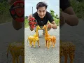 Download Lagu Gele kara 2 Ta Remote wala Giraffe🦒deko