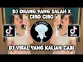 DJ ORANG YANG SALAH X CIRO CIRO | DJ KU SUDAH MENCOBA TUK BERIKAN BUNGA VIRAL TIKTOK TERBARU 2023!