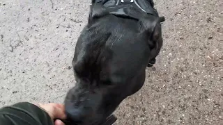 Encore Et Toujours De La Pluie 