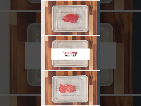 Beef 101: What is Grading? #beef #beefitswhatsfordinner #beef101