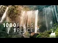 Download Lagu A Thousand Falls: Tumpek Sewu - Java Indonesia