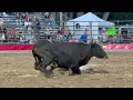 The 68th Annual Attica Rodeo