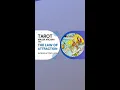 Unveiling the Tarot s Major Arcana for Manifestation Your Key to Manifestation Mastery