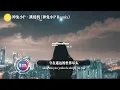 神兔小P - 跳楼机 (神兔小P Remix) 「Baby 我们的感情好像跳楼机，让我突然地升空又急速落地。 」