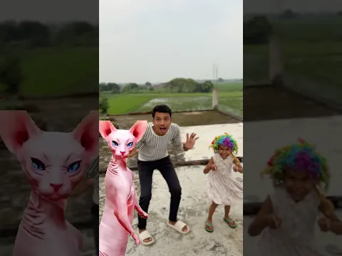 Billi ne kiya dance 💃🤪 #shorts #funny #viral #trending #bhoot #billi #dancevideo