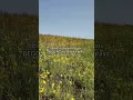 An Invitation to Touch Grass