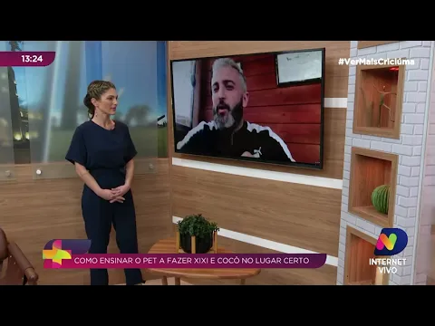 Saiba como ensinar seu pet a fazer as necessidades no local correto