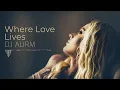 Download Lagu DJ AURM - Where Love Lives