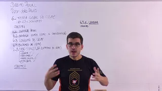 Aula 13 - Direito Penal.  Fato Típico (conduta, resultado, nexo causal e tipicidade)