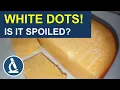 Cheese mystery What are those white dots on the cheese 257