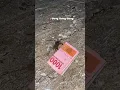 Download Lagu Mr. Crab real crab Money Money 🤣🤣 #spongebob #tuankrab #patrickstar #money #funny
