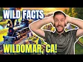 Living in Wildomar CA 10 Surprising Facts You Didn t Know