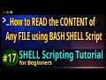 17 How to Read the CONTENT of any FILE using WHILE LOOP in BASH SHELL Script