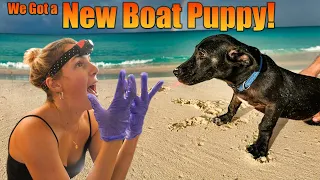 Welcome our new dog Bucky!  and Sailboat Racing!