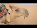 Khoyo | Official Music Video | Tech Panda & Kenzani | 2021
