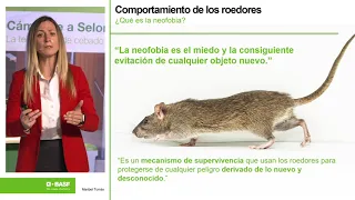 Protocolos en el control de roedores y la nueva alternativa, Selontra® Parte 2/3