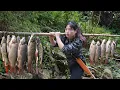 Lagu Giant Stream Fish Catching Skills by Bare Hands | Deep Forest Survival, survival alone