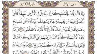 سورة البقرة محمد صديق المنشاوي 